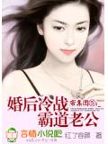 帝集团⑤:婚后冷战霸道老公